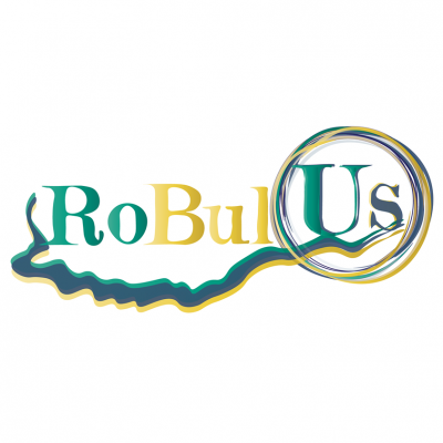 проект "RoBulUs"