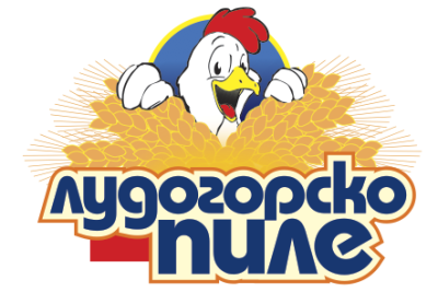 Проект по ОПДУ