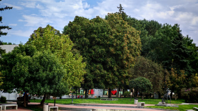 #Плевен, сн. #ОИЦ-Плевен