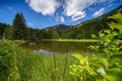 ОБЩИНА СМОЛЯН ПОЛУЧАВА ФИНАНСИРАНЕ ЗА РЕДИЦА ТУРИСТИЧЕСКИ АТРАКЦИИ