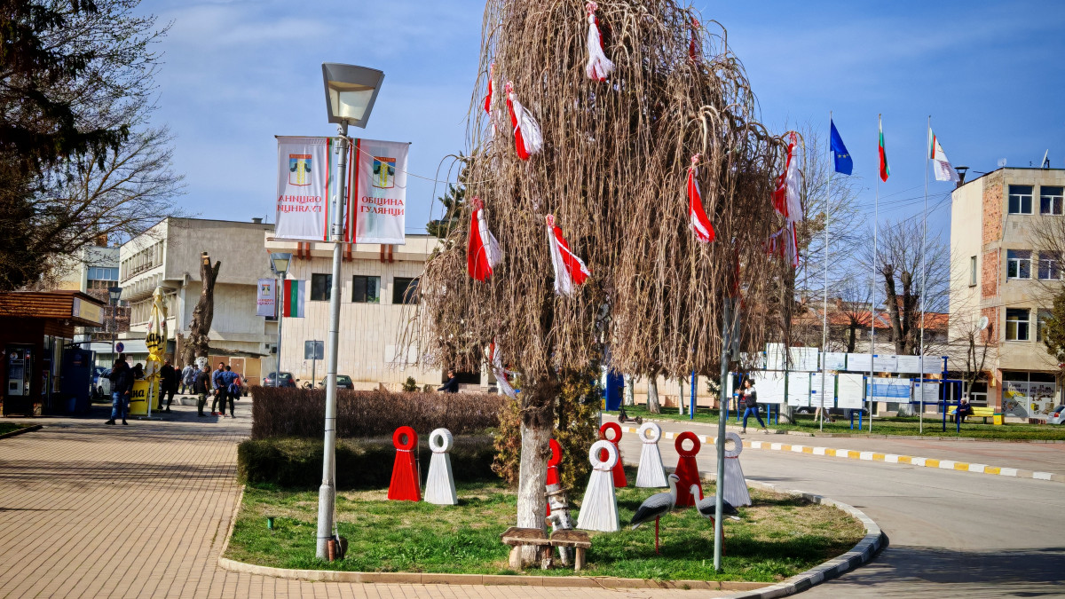 #Гулянци, #ОИЦ-Плевен, 13. 03. 25