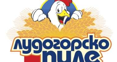 Проект по ОПДУ