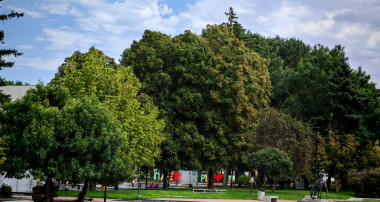 #Плевен, сн. #ОИЦ-Плевен