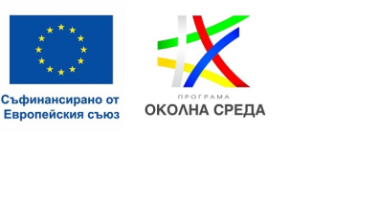 logo 2127 